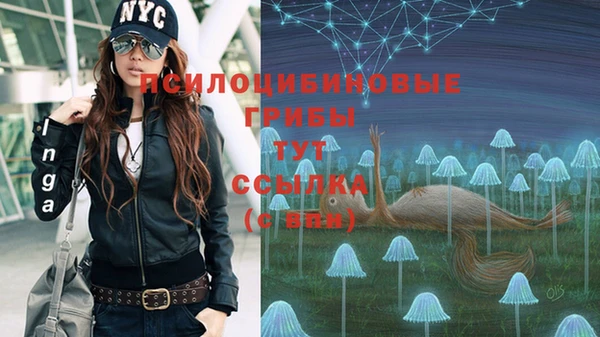 apvp Ладушкин
