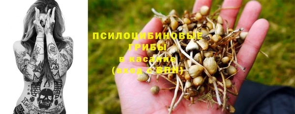 мескалин Лабытнанги