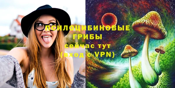 мескалин Лабытнанги