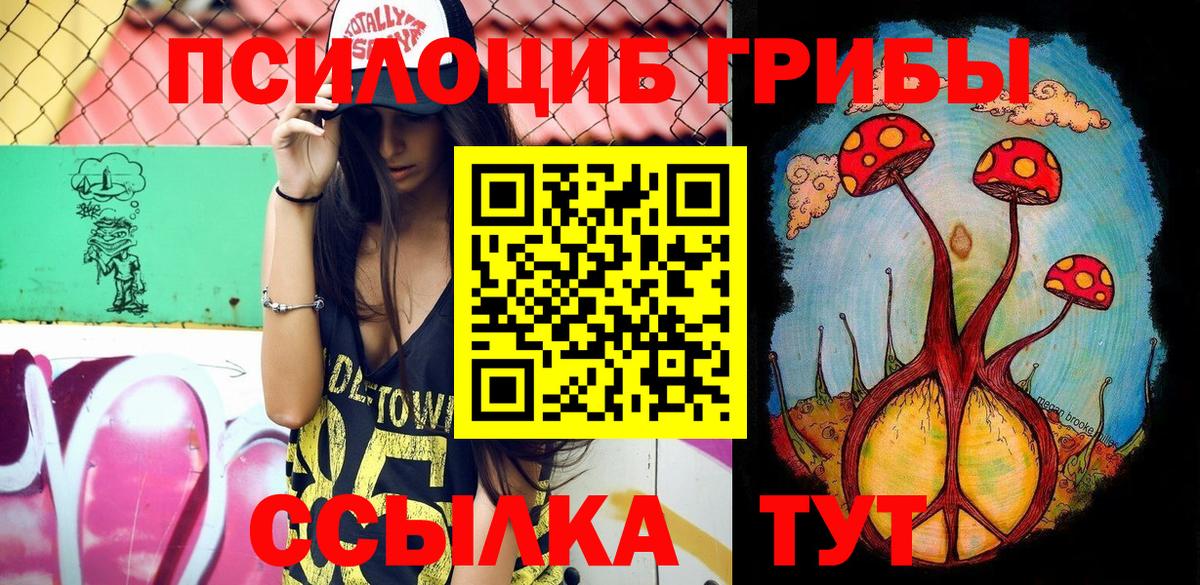 что такое наркотик  Чапаевск  Псилоцибиновые грибы Cubensis 