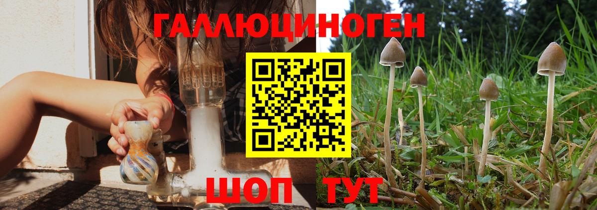 Псилоцибиновые грибы мицелий  Вход с VPN  Галлюциногенные грибы Psilocybe  Чапаевск 